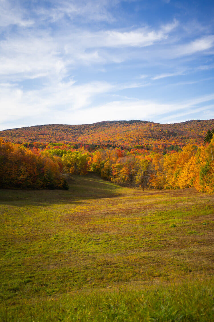Vermont-Green-Mountains-Fall-Color.jpg