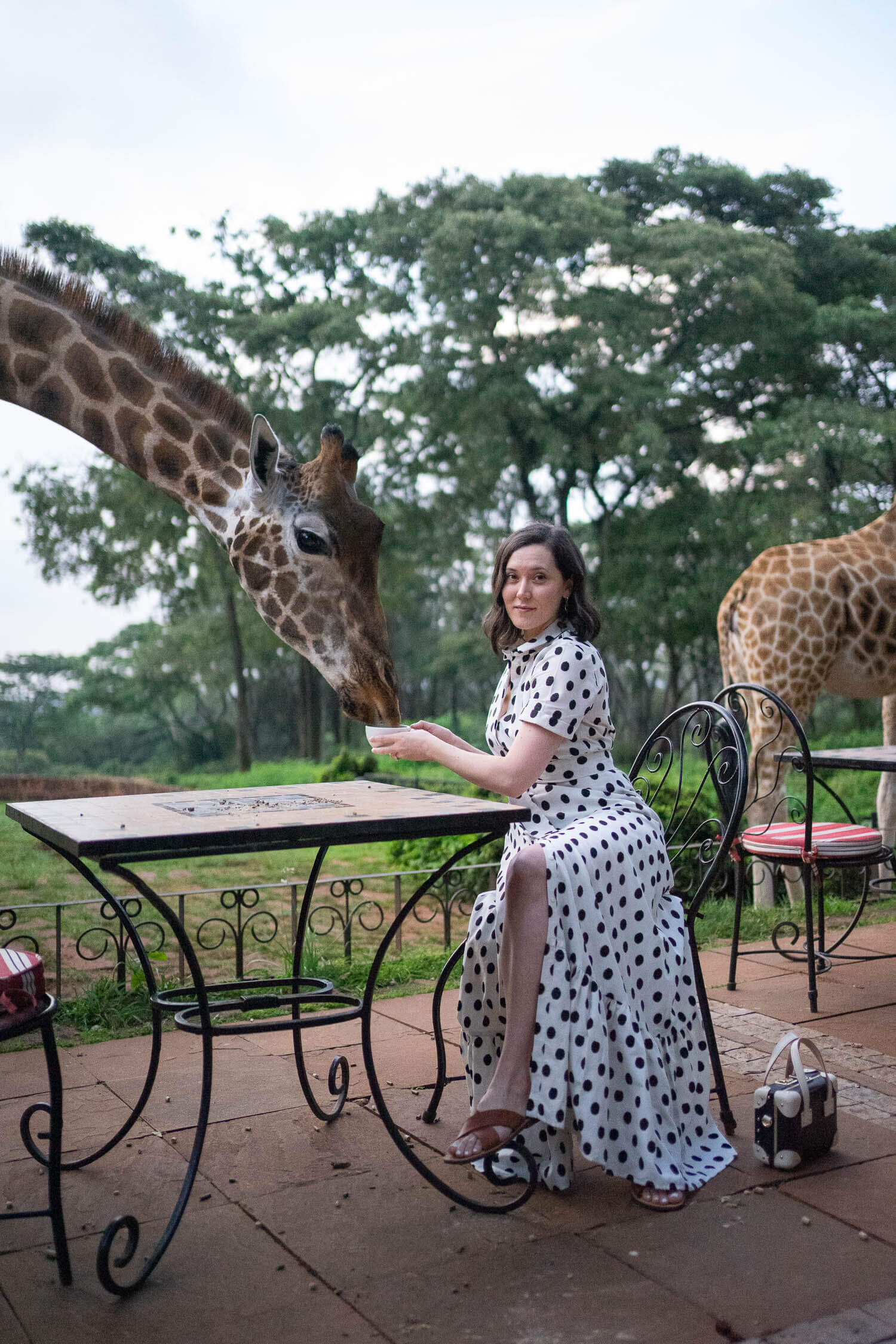 Monica-francis-black-and-white-polka-dot-sezane-dress-feeding-young-giraffe-1.jpeg