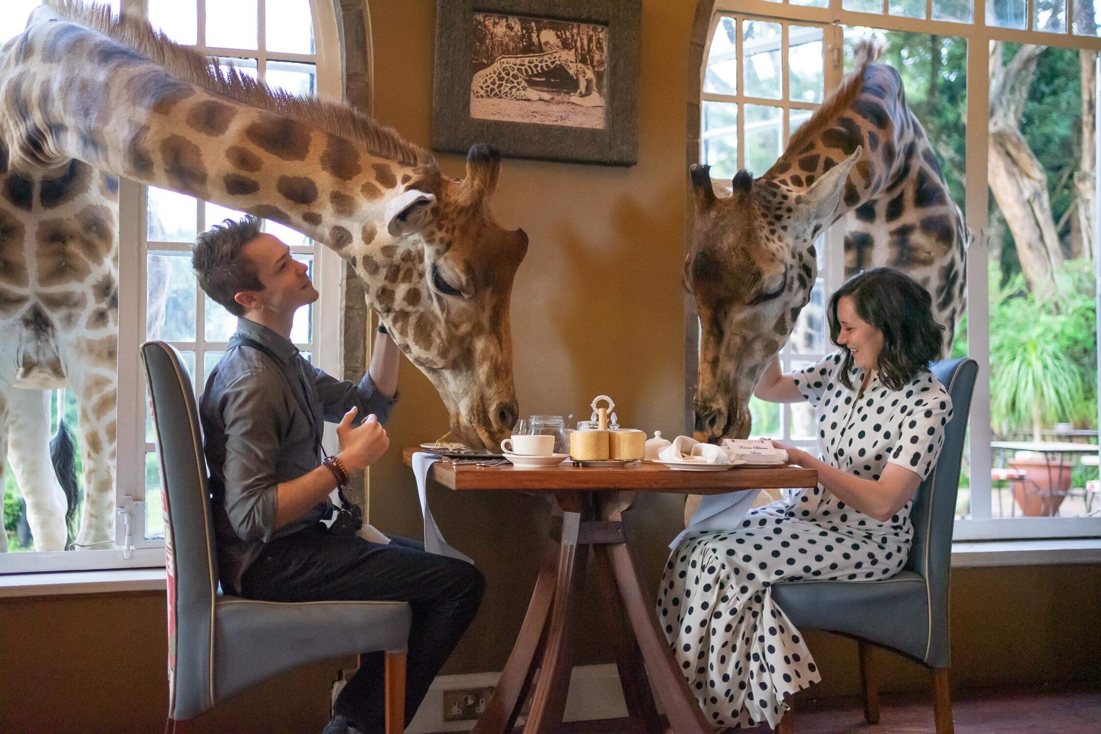 Monica-francis-couple-feeding-giraffes-breakfast-sezane-polka-dot-dress.jpeg