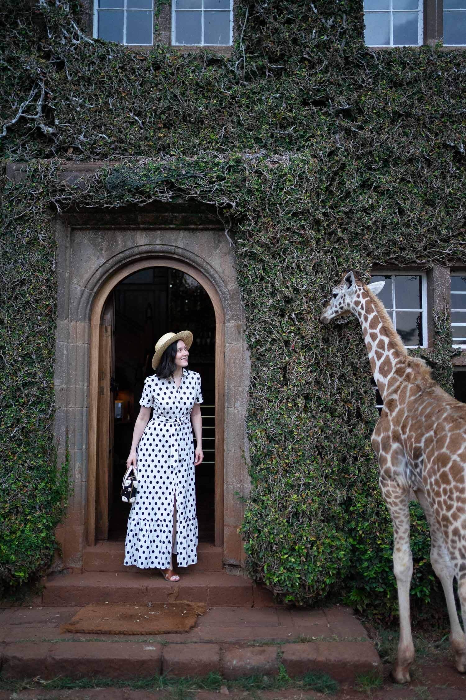 Monica-francis-looking-at-baby-giraffe-eating-vines-outside-giraffe-manor-front-door.jpeg