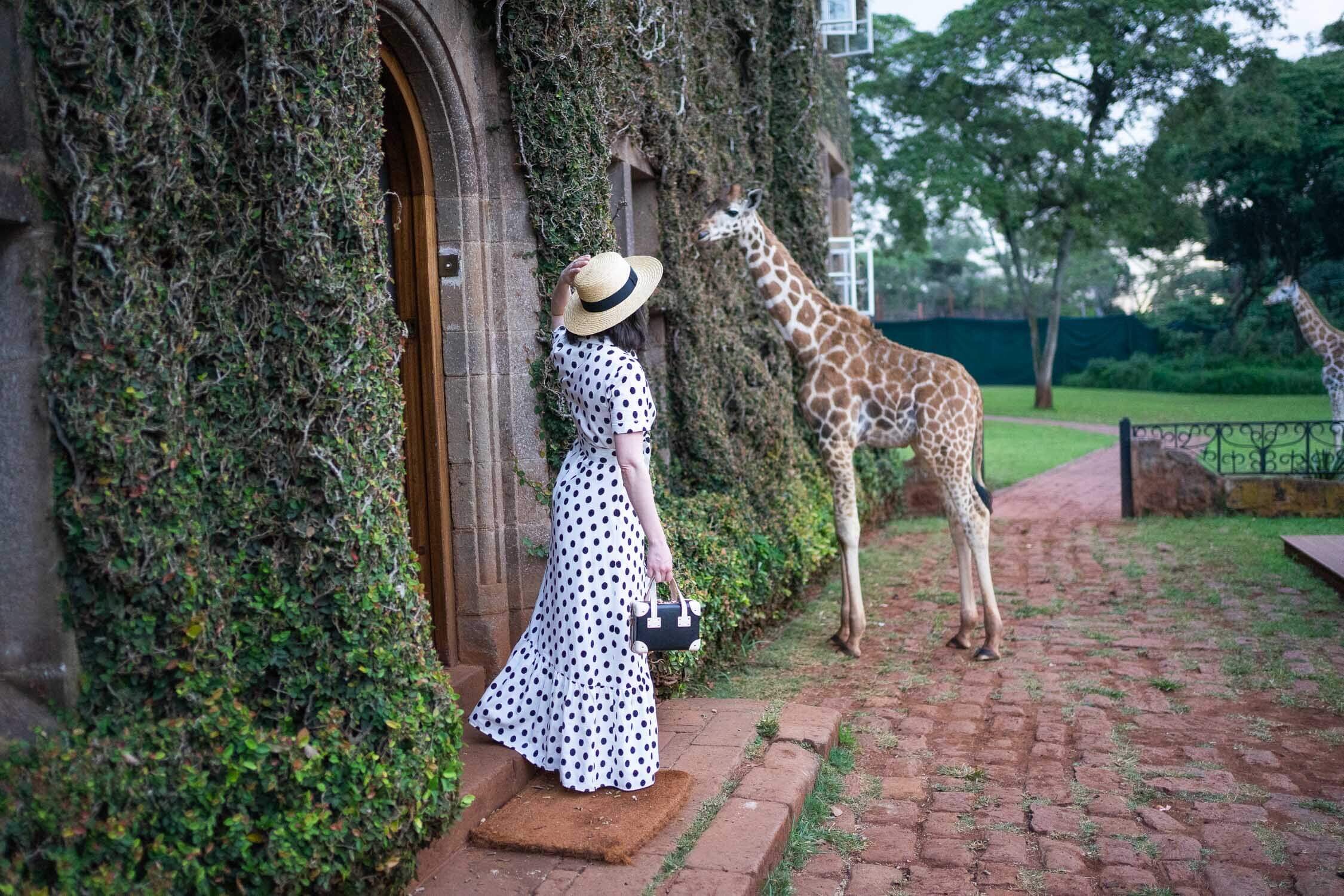 Monica-francis-looking-at-baby-giraffe-eating-vines-outside-giraffe-manor-front-door-steamline-luggage-mini-starlet.jpeg