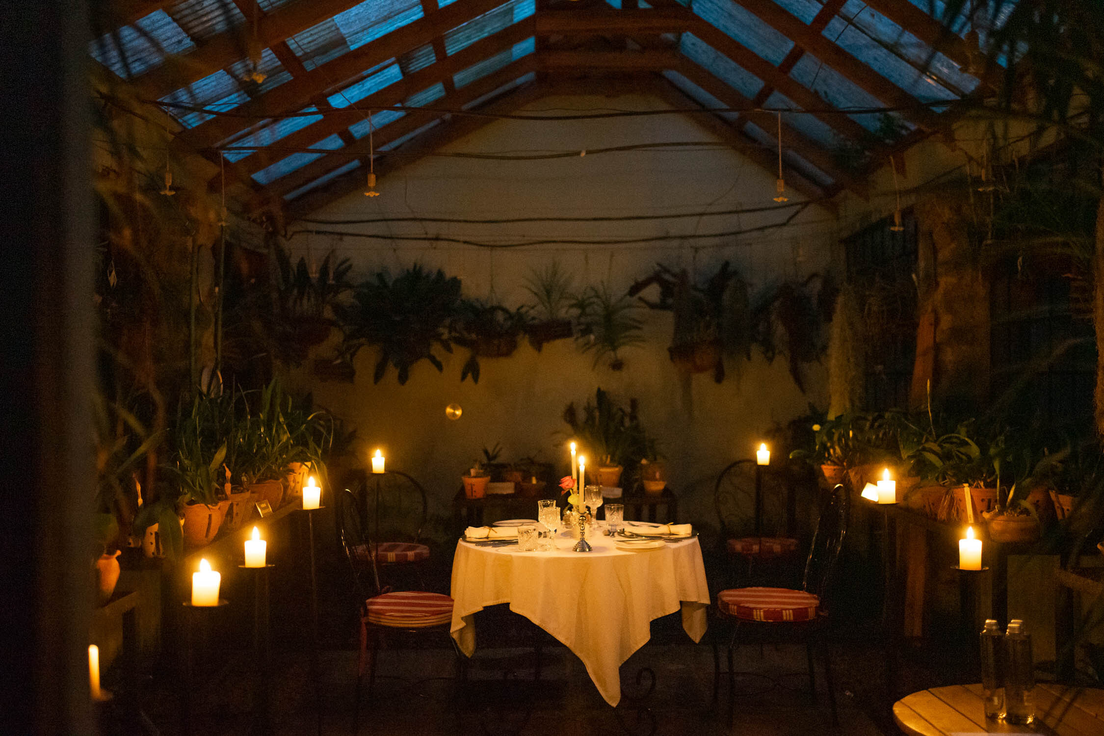 Orchid-house-dinner-giraffe-manor.jpeg